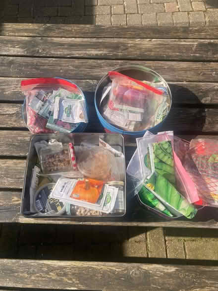 Photo of free Seeds (Byfleet) #1