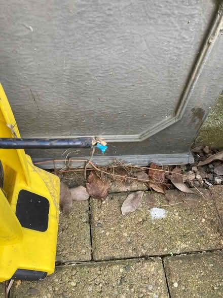 Photo of free Long Extension cord (broken) (Raynes Park (SW20)) #2
