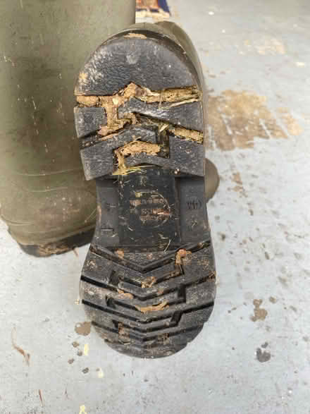 Photo of free Dunlop wellies size 9 (PE3 Bretton) #3
