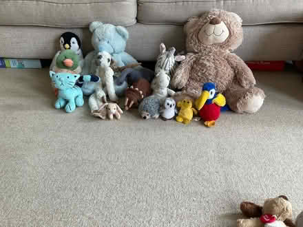 Photo of free Selection of cuddly toys looking for new home/s (Leckhampton GL53) #1