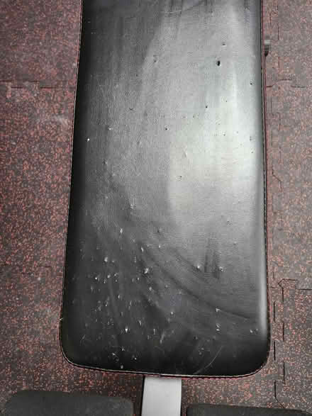 Photo of free Workout bench (Mooney's bay) #4