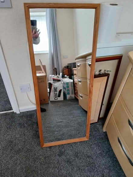 Photo of free Mirror (Ripley DE5) #1