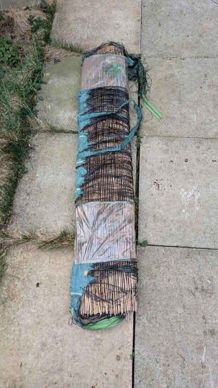 Photo of free Bamboo screen (Tranmere CH42) #1