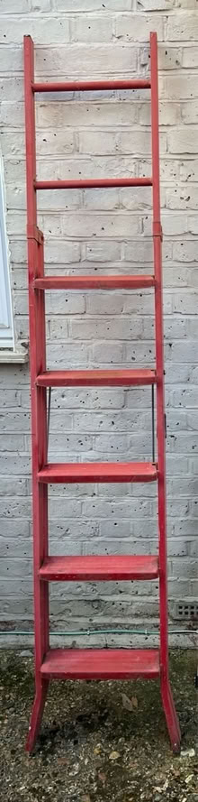 Photo of free Step ladder (Twickenham TW2) #1