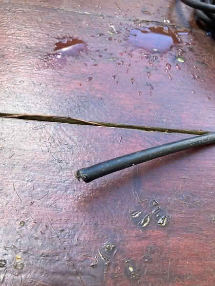 Photo of free Long Extension cord (broken) (Raynes Park (SW20)) #4