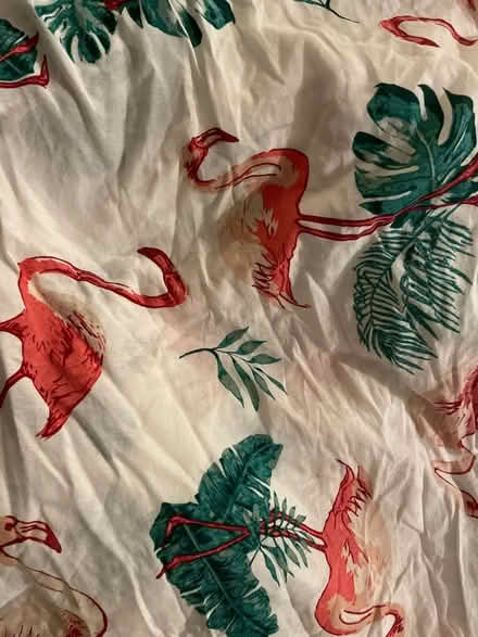 Photo of free 2 x duvet covers (PO6) #1