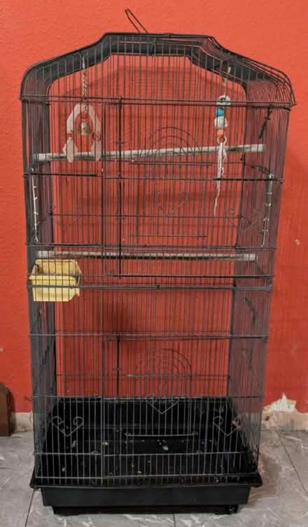 Photo of free Budgie/small parrot cage (HP11) #1