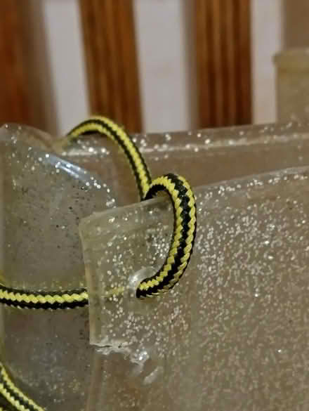 Photo of free Sparkly Welly boots size 3/4 adult (BH9) #3