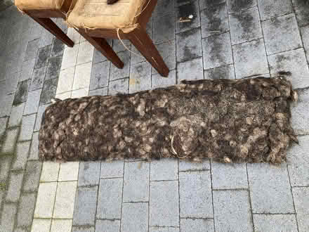 Photo of free Horsehair & hog upholstery filling (Dunfermline KY11) #1