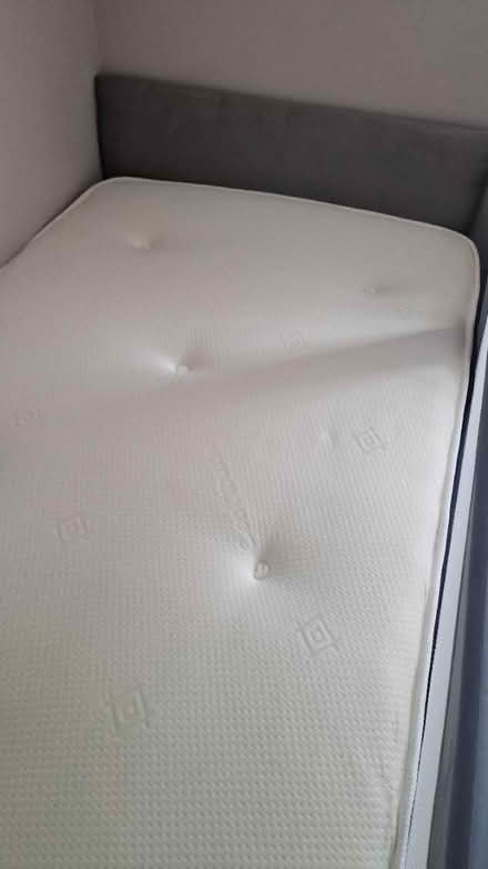 Photo of free Single Divan Bed w/ Mattress (Ashford, Surrey) #2