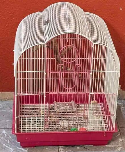 Photo of free Small budgie/canary/finch cage (HP11) #1