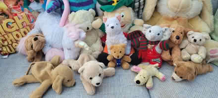 Photo of free Used soft toys (Stonydelph B77) #2
