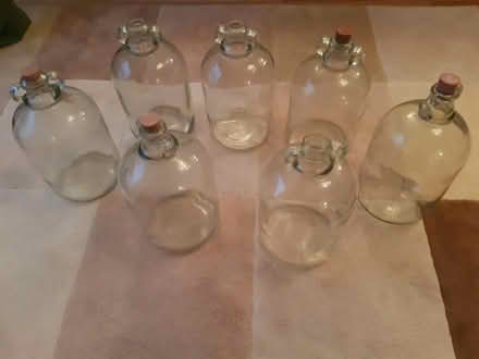 Photo of free 7 demijohns (Tonbridge) #1
