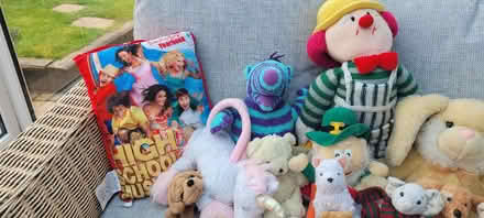 Photo of free Used soft toys (Stonydelph B77) #4