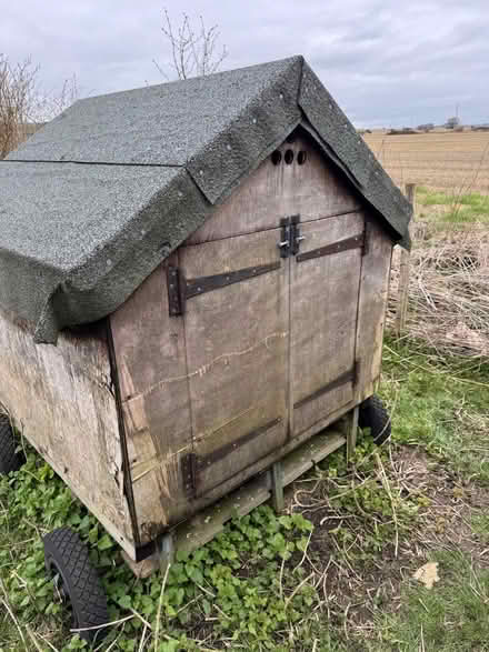 Photo of free Chicken/Duck shed, homemade (Marcham OX13) #1