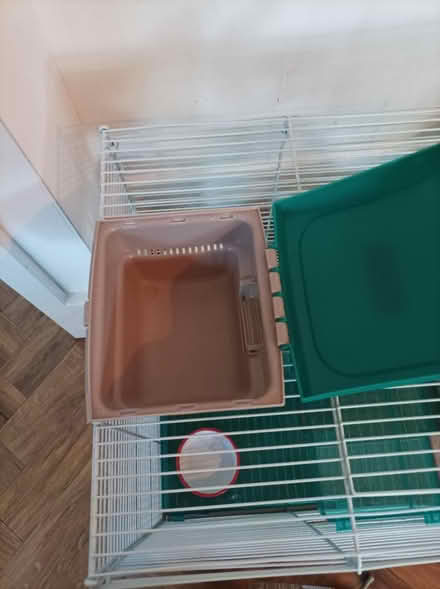 Photo of free Hamster cage (Basford, NG5) #3