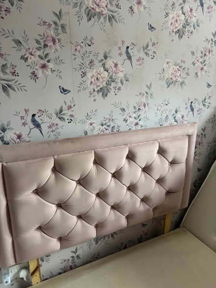 Photo of free small double divan BASE (Allestree Derby) #3