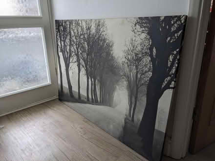 Photo of free IKEA tree canvas picture (Welwyn Village, AL6) #1