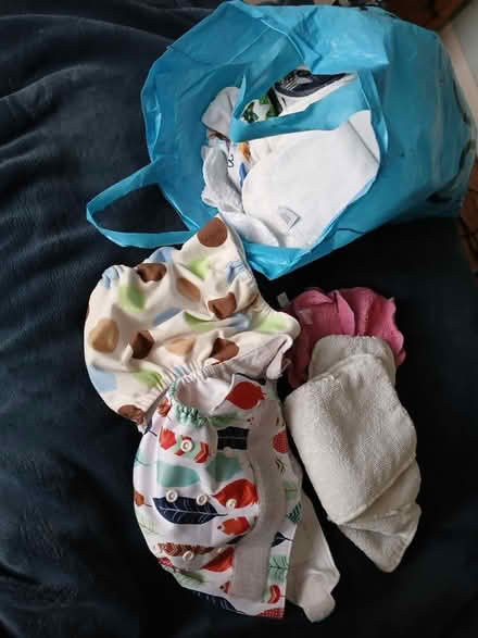 Photo of free Cloth nappies and inserts (Mitcham CR4) #1