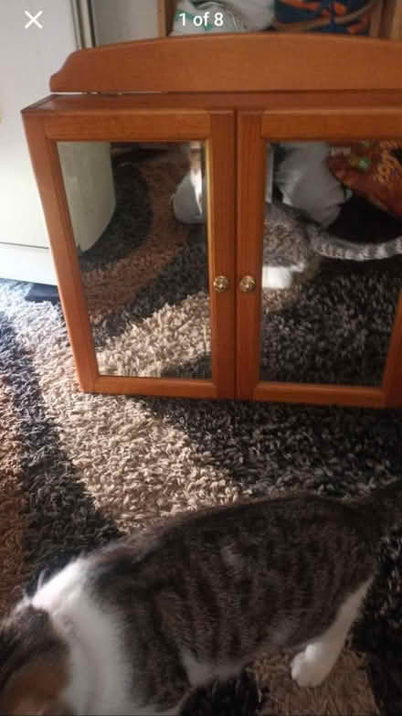 Photo of free Large wooden bathroom cabinet (Wd50rr) #2
