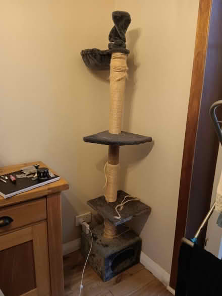 Photo of free Cat scratcher (Eh166dd) #1