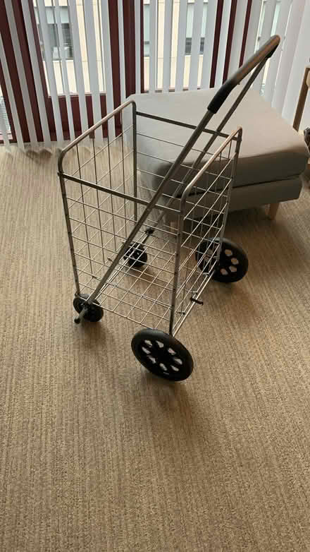 Photo of free Collapsible shopping cart (Downtown Berkeley) #1