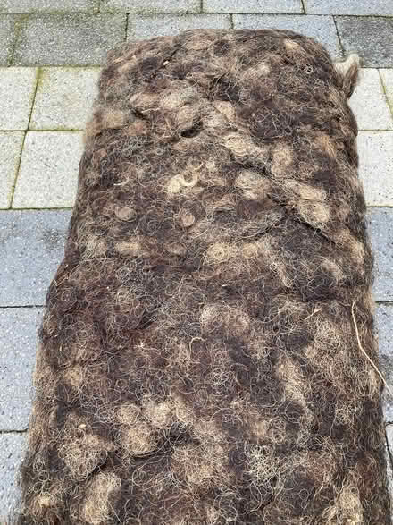 Photo of free Horsehair & hog upholstery filling (Dunfermline KY11) #2
