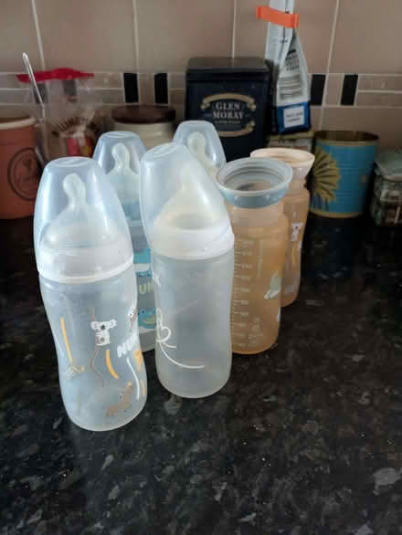 Photo of free Six baby milk bottles (Abbey Wood SE2) #1