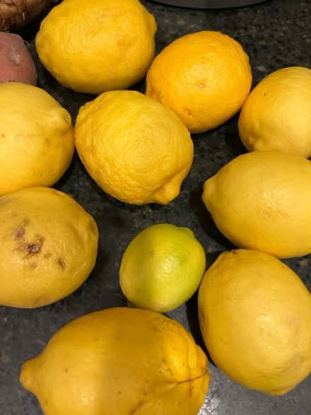 Photo of free limes from garden (Lawrence/ El Camino Real) #1