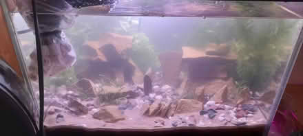 Photo of Fishtank stuff (Lower Bevendean BN2) #1