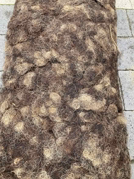 Photo of free Horsehair & hog upholstery filling (Dunfermline KY11) #3
