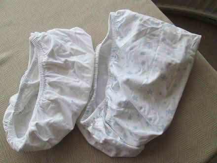 Photo of free Moses Basket (Southend SS2) #3
