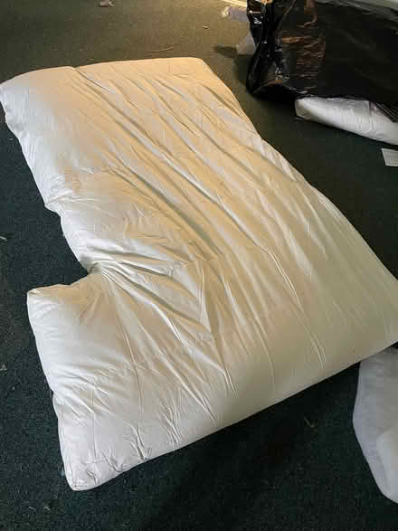 Photo of free 2 huge sofa cushions (Dorking) #1
