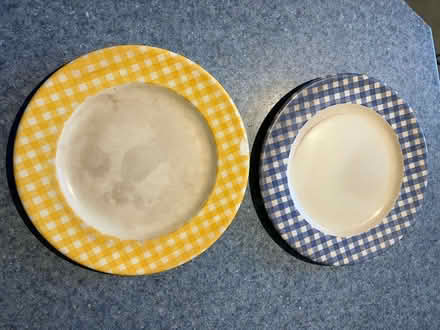 Photo of free Dinner plates (Newport Pagnell MK16) #1