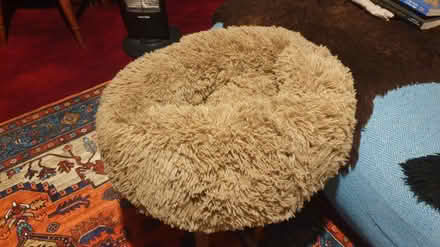 Photo of free Cat Bed (Brighton, BN2 1JB) #1