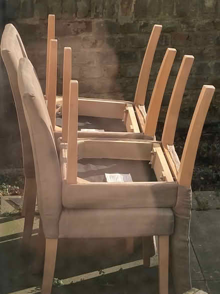 Photo of free Dining chairs (Battersea SW11) #1