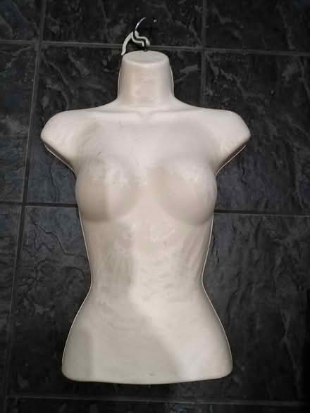 Photo of free Mannequin (Newbridge BA1) #1