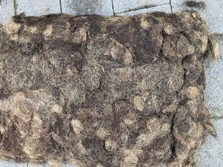 Photo of free Horsehair & hog upholstery filling (Dunfermline KY11) #4