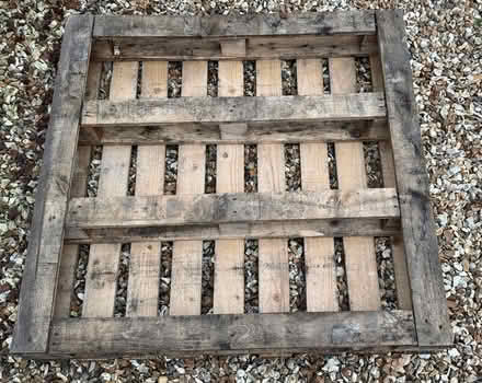 Photo of free Wooden pallet (East Marden) #3