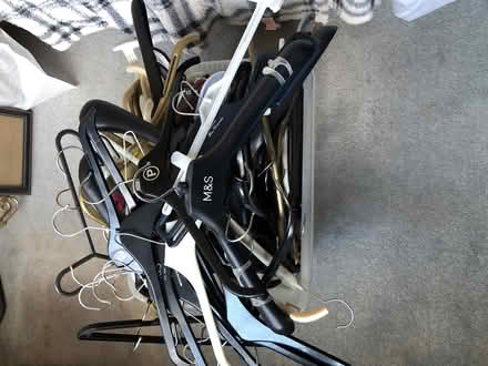 Photo of free Coat hangers (Welling DA7) #1