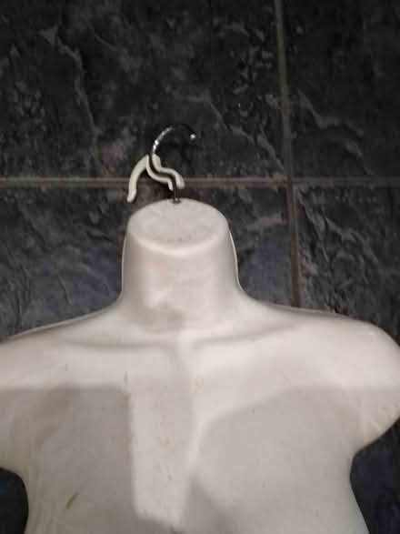 Photo of free Mannequin (Newbridge BA1) #2