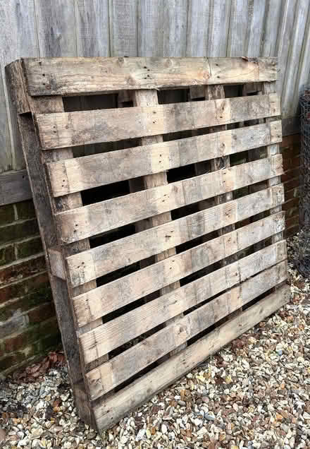 Photo of free Wooden pallet (East Marden) #2