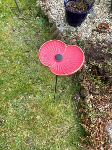 Photo of free Poppy bird seed feeder (BS16) #1