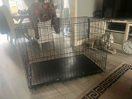 Photo of free XL dog create (Skerton LA1) #1