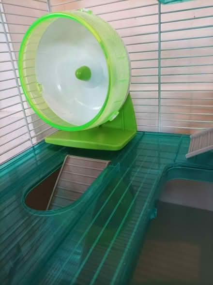 Photo of free Hamster cage (Basford, NG5) #2