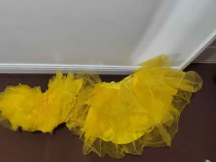 Photo of free Tutu mother and daughter (Chelmsford CM2) #1