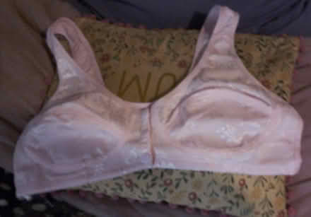 Photo of free Bra's never worn, brand new (Halifax HX2) #1