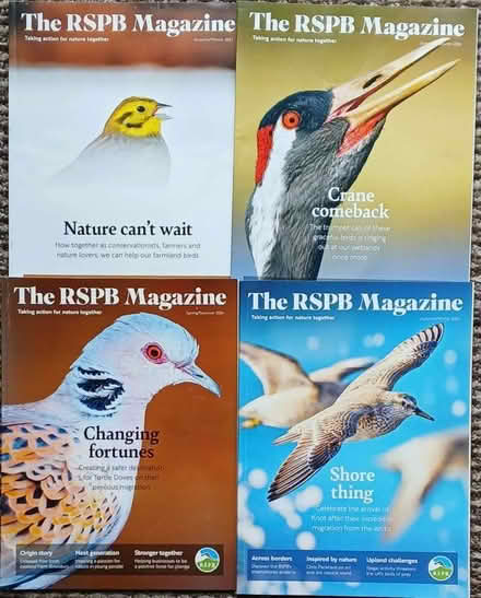 Photo of free RSPB magazines (Bicester OX26) #1
