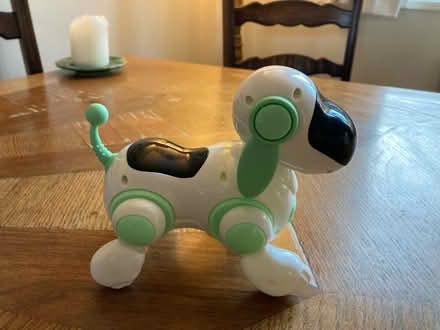 Photo of free Robot dog (S8 woodseats) #1