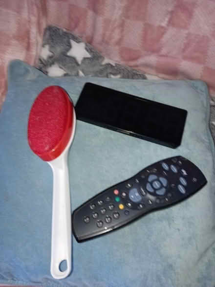 Photo of free Sky remote, brush get rid pf hair. (Maidenhead SL6) #1